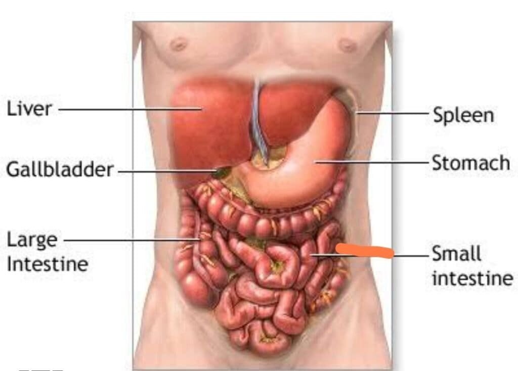 Constipation
